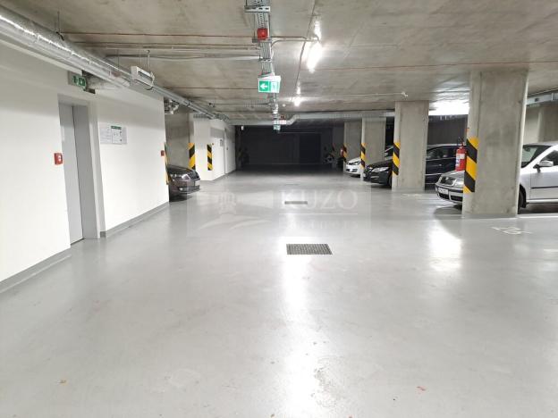 Pronájem bytu 2+kk, Praha - Žižkov, Olgy Havlové, 52 m2