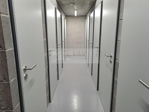 Pronájem bytu 2+kk, Praha - Žižkov, Olgy Havlové, 52 m2