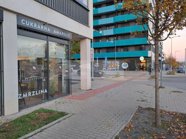 Pronájem bytu 2+kk, Praha - Žižkov, Olgy Havlové, 52 m2