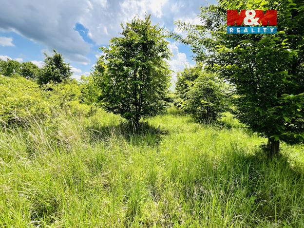 Prodej pozemku, Veselí nad Moravou, 1026 m2