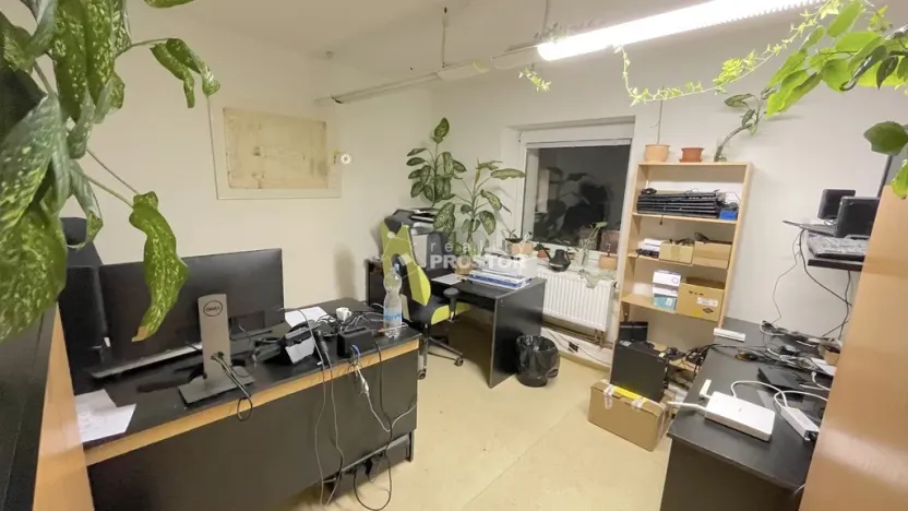 Pronájem obchodního prostoru, Jirny, Tovární, 631 m2