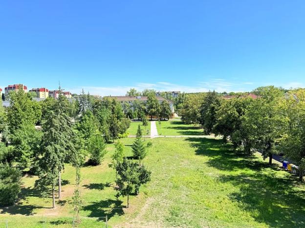 Pronájem bytu 1+kk, Milovice, Slepá, 23 m2