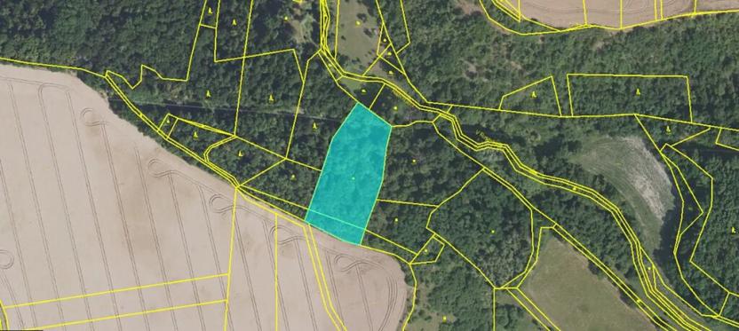 Dražba louky, Otvovice, 5671 m2