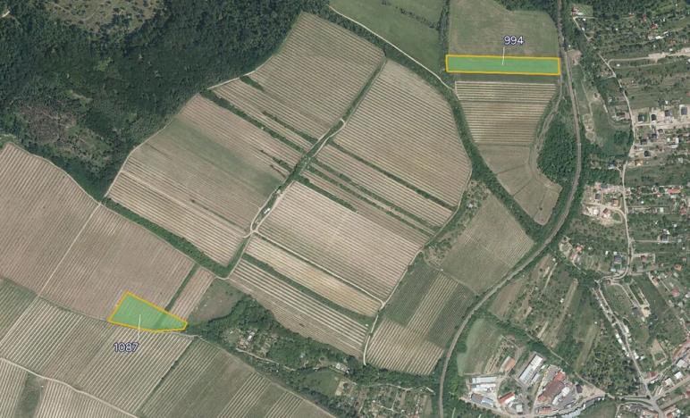 Prodej pole, Nový Šaldorf-Sedlešovice, 20168 m2