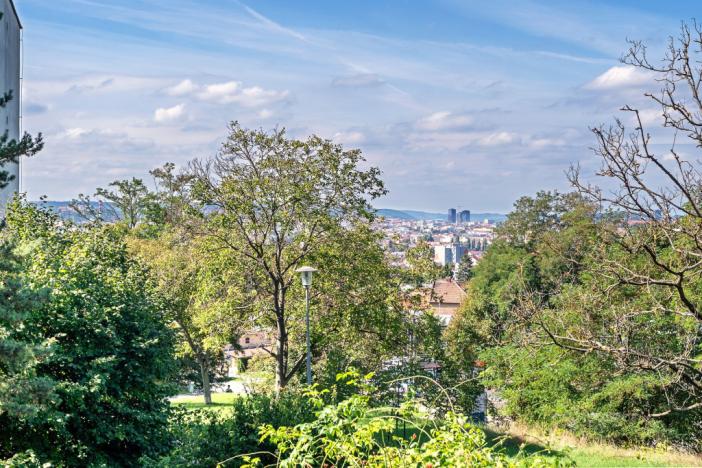 Prodej bytu 2+1, Brno - Židenice, Došlíkova, 48 m2