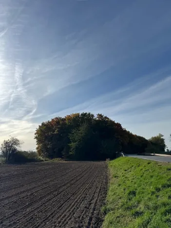 Prodej lesa, Libišany, 3737 m2