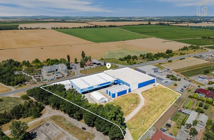 Pronájem výrobních prostor, Hrušky, Na aleji, 6941 m2