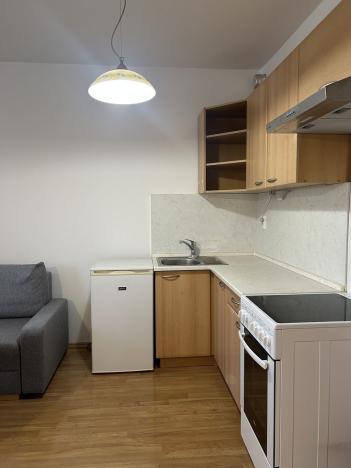 Pronájem bytu 1+kk, Praha - Libeň, Kovanecká, 33 m2