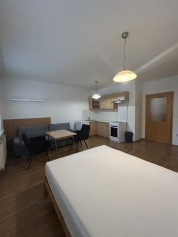 Pronájem bytu 1+kk, Praha - Libeň, Kovanecká, 33 m2