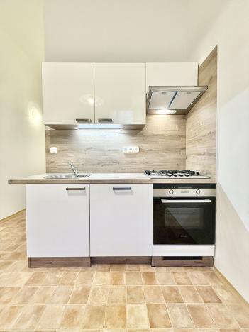 Pronájem bytu 1+1, Praha - Vinohrady, Mánesova, 48 m2