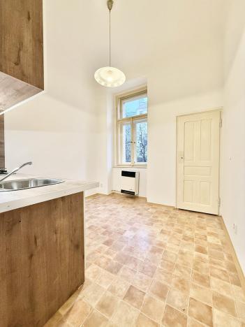 Pronájem bytu 1+1, Praha - Vinohrady, Mánesova, 48 m2
