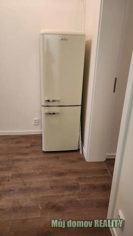 Pronájem bytu 1+1, Praha - Žižkov, Na mokřině, 30 m2