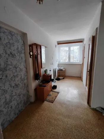 Prodej bytu 3+1, Ostrov, Seifertova, 60 m2