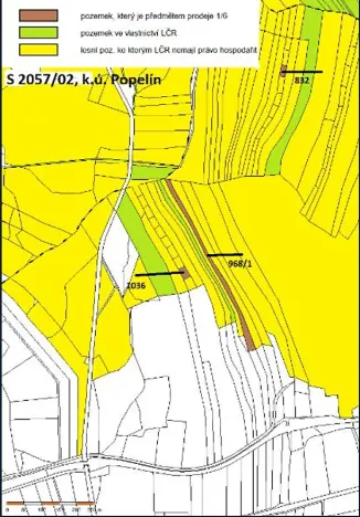 Prodej podílu lesa, Popelín, 10176 m2