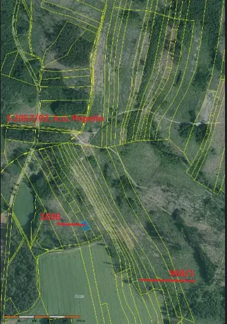 Prodej podílu lesa, Popelín, 10176 m2