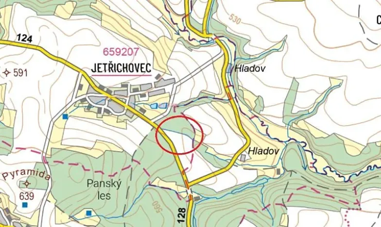 Prodej podílu lesa, Pacov, 1301 m2