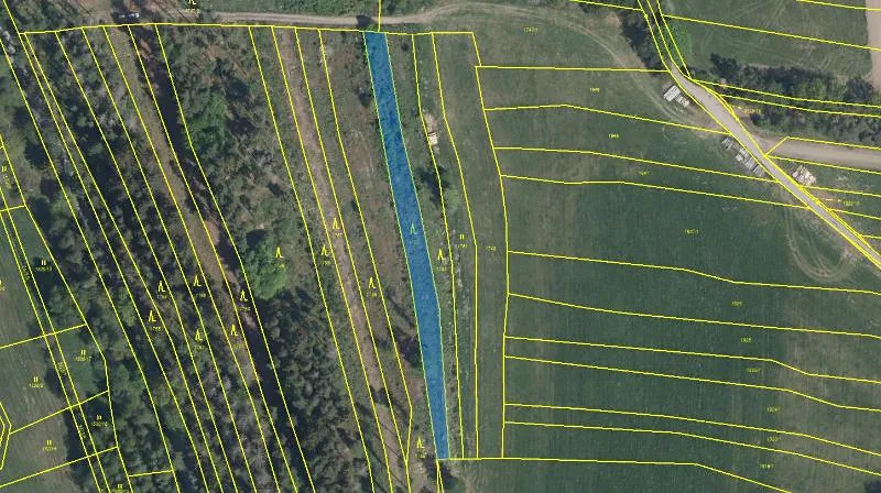 Prodej podílu lesa, Nový Rychnov, 6035 m2