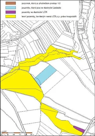 Prodej podílu lesa, Pacov, 475 m2