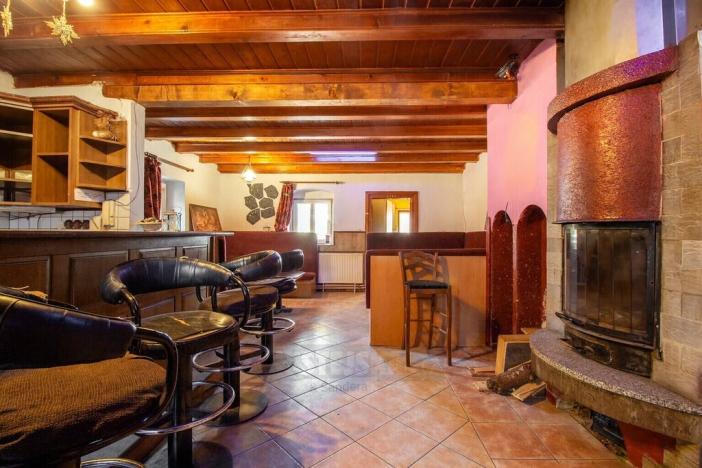 Prodej rodinného domu, Dolní Dvořiště - Jenín, 341 m2