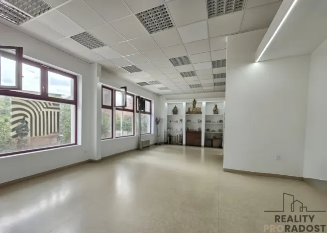 Pronájem obchodního prostoru, Hodonín, Štefánikova, 90 m2