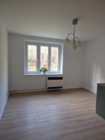 Pronájem bytu 2+kk, Praha - Smíchov, Křížová, 42 m2