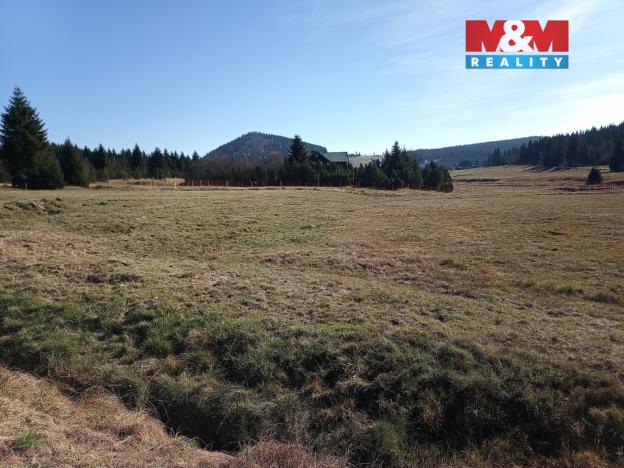 Prodej louky, Kořenov - Jizerka, 18695 m2