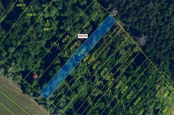 Dražba lesa, Ivančice, 409 m2