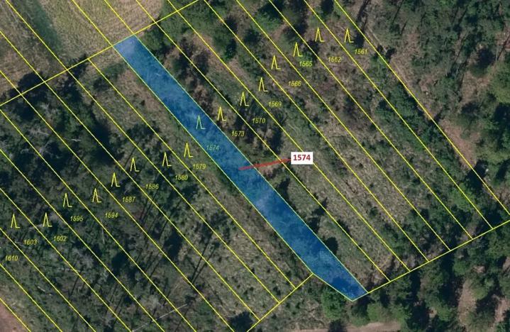 Dražba lesa, Březník, 885 m2