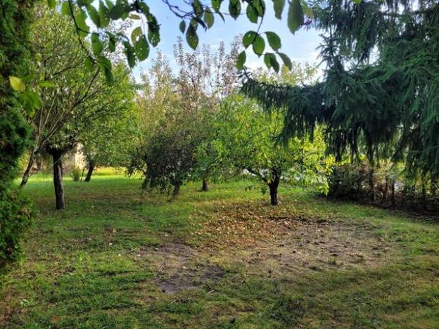 Prodej rodinného domu, Vlčí Habřina, 75 m2