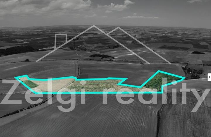 Prodej sadu/vinice, Kralupy nad Vltavou, 246558 m2