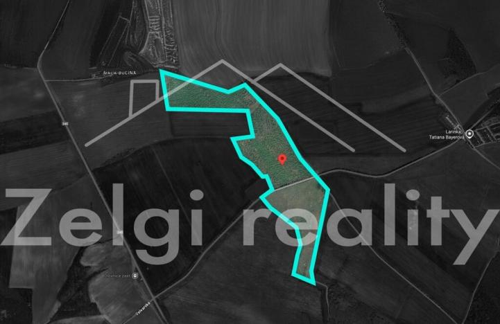 Prodej sadu/vinice, Kralupy nad Vltavou, 246558 m2