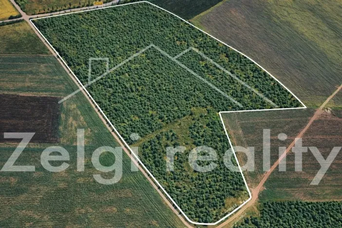 Prodej sadu/vinice, Kralupy nad Vltavou, 246558 m2