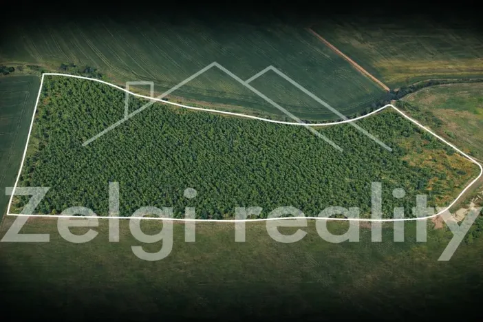 Prodej sadu/vinice, Kralupy nad Vltavou, 246558 m2