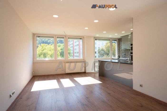 Prodej bytu 3+kk, Praha - Karlín, Molákova, 71 m2