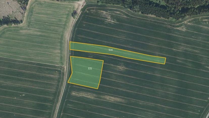 Prodej pole, Hojovice, 23594 m2