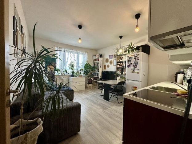 Pronájem bytu 2+kk, Brno - Žebětín, Říčanská, 43 m2