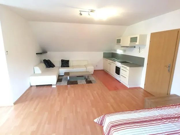 Pronájem bytu 1+kk, Praha, Květnového povstání, 60 m2