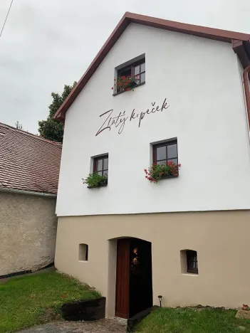 Prodej vinného sklepa, Čejkovice, 66 m2