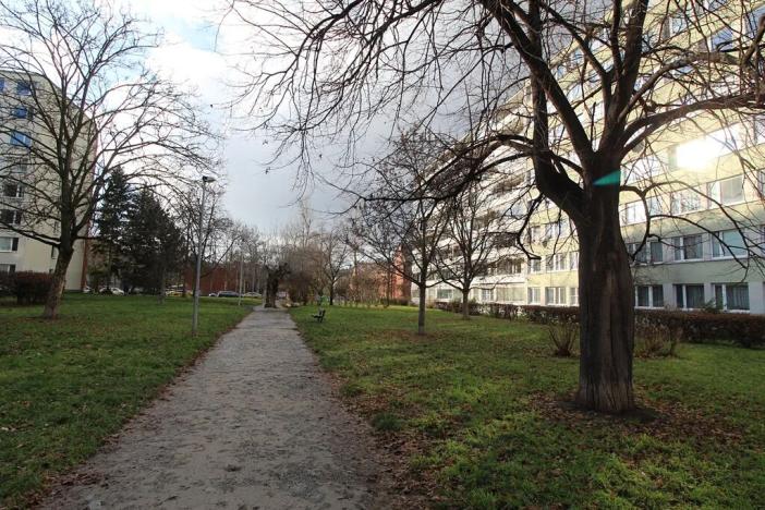 Pronájem bytu 1+kk, Praha - Karlín, Molákova, 36 m2