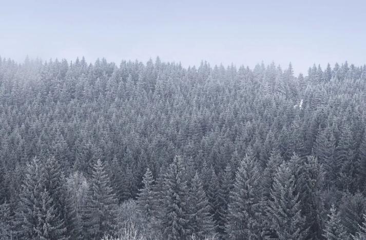 Prodej bytu 1+kk, Loučná pod Klínovcem, 28 m2