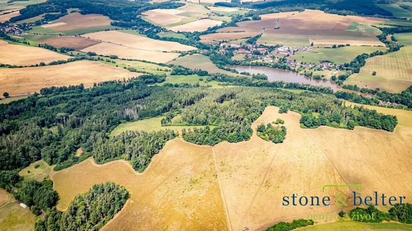 Prodej lesa, Zvěstov, 45954 m2