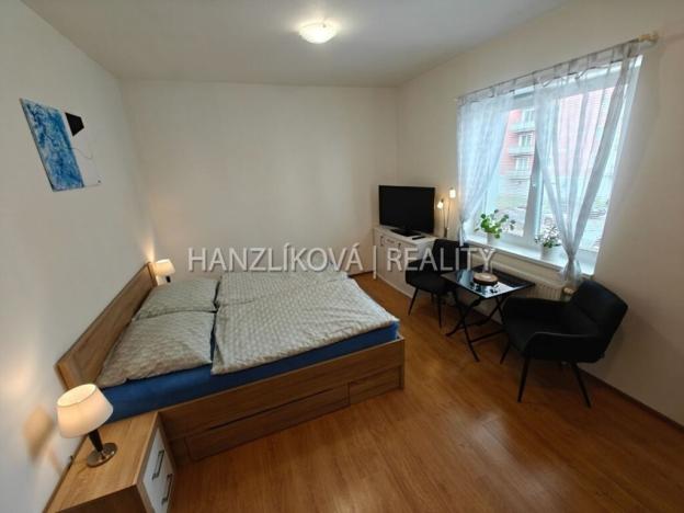 Pronájem bytu 1+kk, České Budějovice - České Budějovice 2, U Lesa, 26 m2