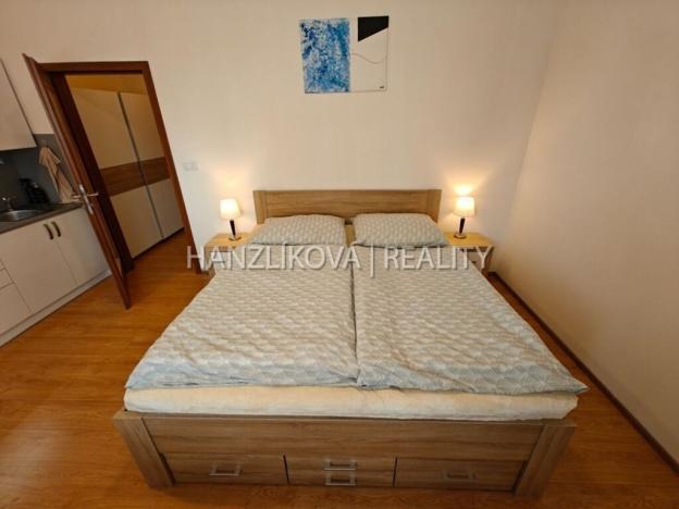 Pronájem bytu 1+kk, České Budějovice - České Budějovice 2, U Lesa, 26 m2