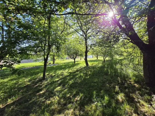 Prodej pozemku pro bydlení, Plzeň, Pod Valíkem, 879 m2