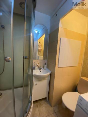 Prodej bytu 1+1, Teplice - Řetenice, Bratislavská, 41 m2