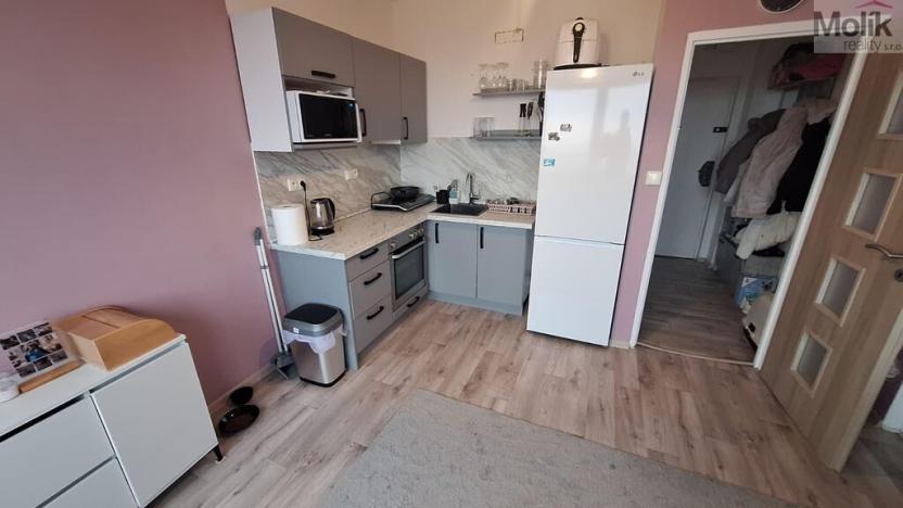 Prodej bytu 1+1, Teplice - Řetenice, Bratislavská, 41 m2