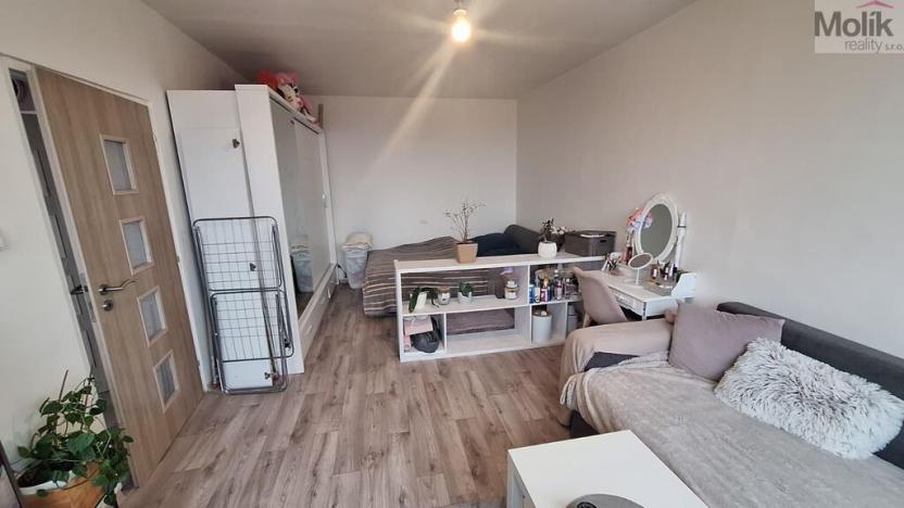 Prodej bytu 1+1, Teplice - Řetenice, Bratislavská, 41 m2