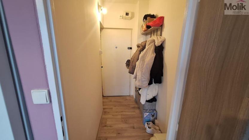 Prodej bytu 1+1, Teplice - Řetenice, Bratislavská, 41 m2