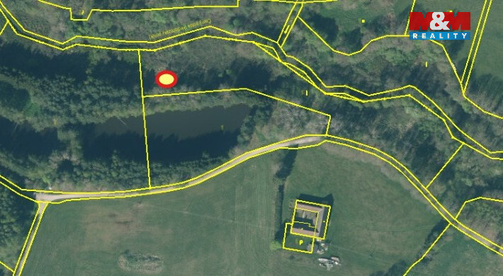 Prodej rybníku, Dvory nad Lužnicí, 8649 m2