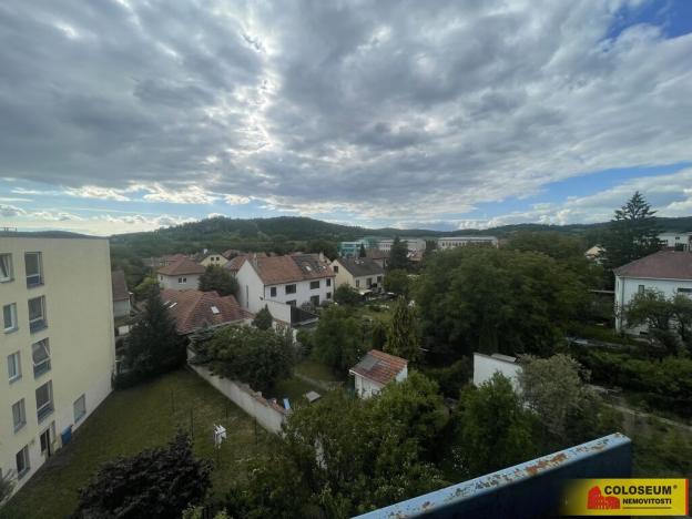 Pronájem bytu 1+1, Kuřim, 25 m2